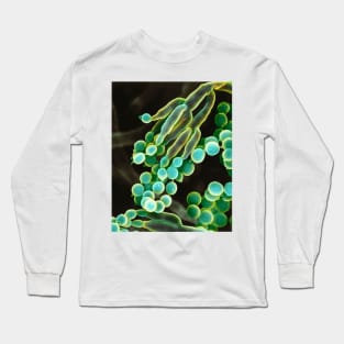 Penicillin fungus, SEM (C026/3997) Long Sleeve T-Shirt